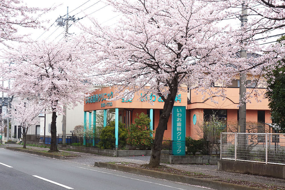 いわお歯科クリニック